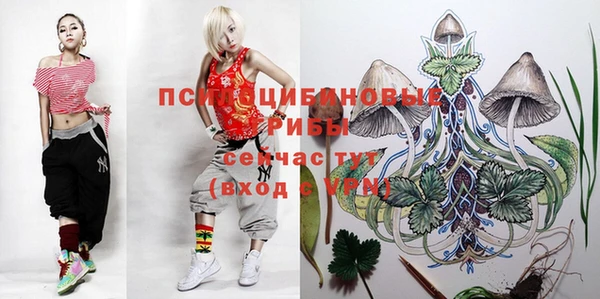 соль ск Алексин