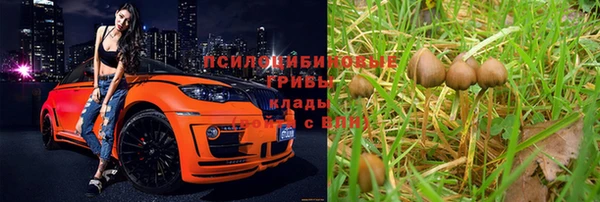 соль ск Алексин