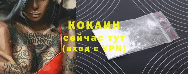 соль ск Алексин
