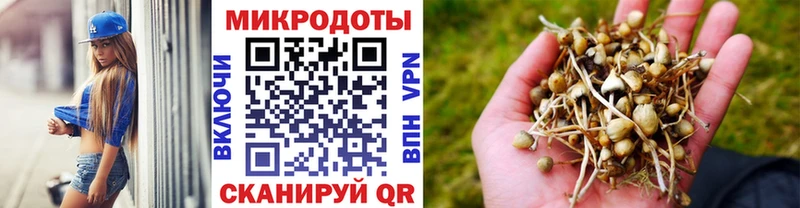 MEGA онион  Пенза  Галлюциногенные грибы Magic Shrooms 